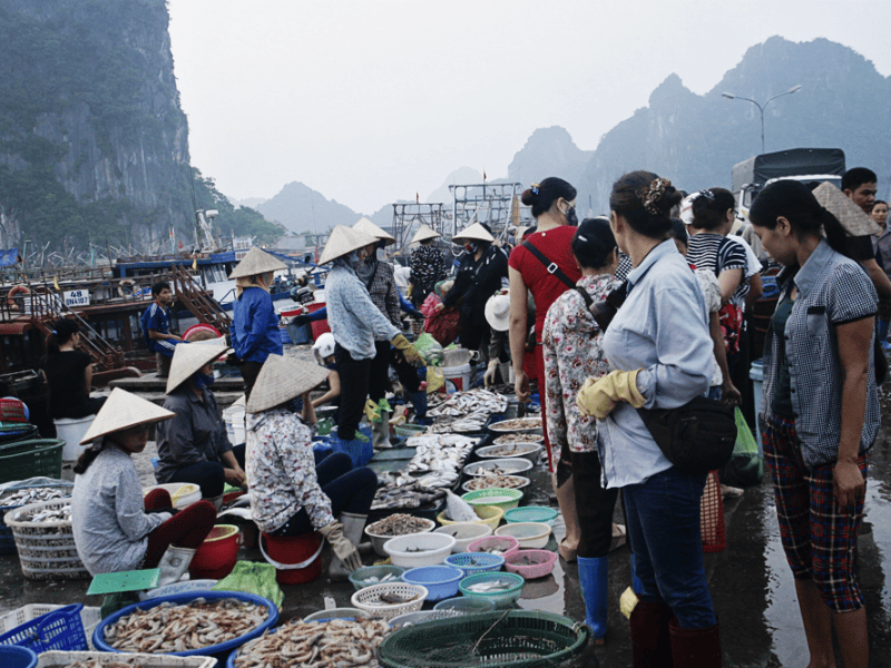 Chợ Cái Rồng toạ lạc tại cảng Cái Rồng, là nơi tập kết hải sản sầm uất