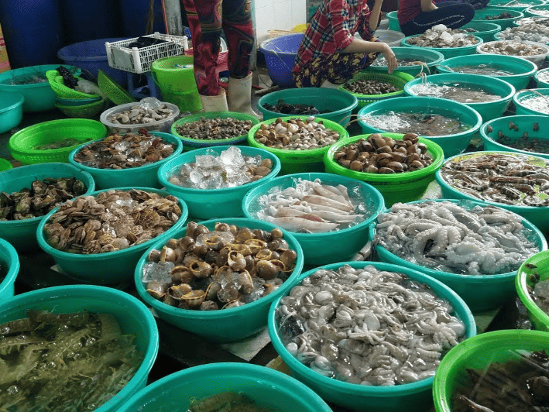 Chợ được biết là khu chợ hải sản nổi tiếng và lớn nhất đảo Cô Tô